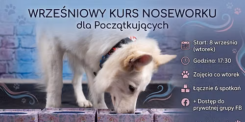 Wrze\u015bniowy kurs noseworku dla pocz\u0105tkuj\u0105cych