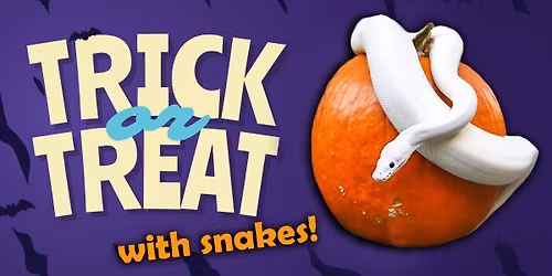 Trick-or-Treating at Snake Discovery!