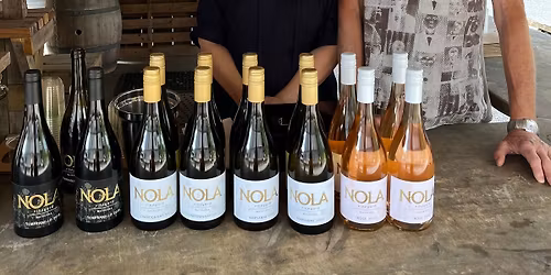 Matakana Wine Night Markets