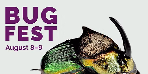Bug Fest