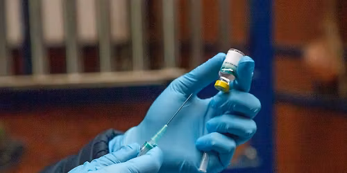 The Equine MOT - why maintenance matters