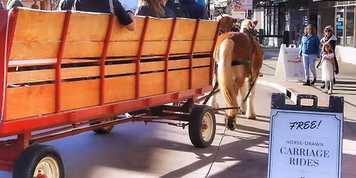 Carriage Rides with JRs Carriage Service