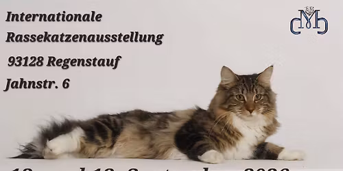 Internationale Rassekatzenausstellung des Magic Cat Clubs e.V.