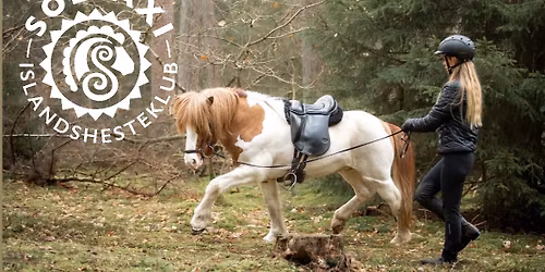 Inspirationsaften \u2013 Alternative veje i tr\u00e6ning af sportsheste