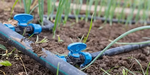 Backyard Irrigation Basics for Raised Beds