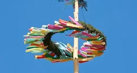 T\u00d6K\u00d6LI MAJ\u00c1LIS!  (a M\u0171vel\u0151d\u00e9si K\u00f6zpont udvar\u00e1ban)