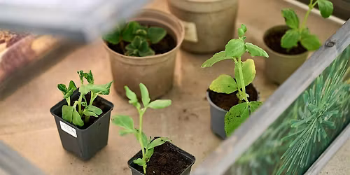 Queer Ecology for Gardeners