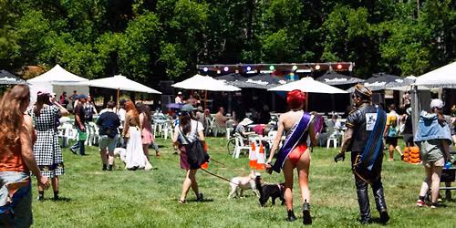 SpringOUT Fair Day 2026