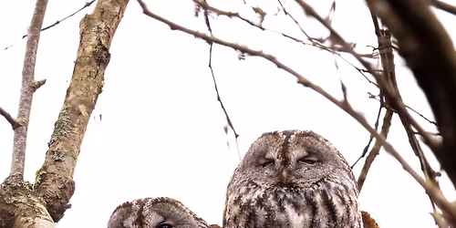 F\u00f6lj med p\u00e5 f\u00e5gelvandring