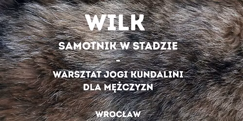 WILK - samotnik w stadzie - warsztat jogi kundalini dla M\u0118\u017bCZYZN
