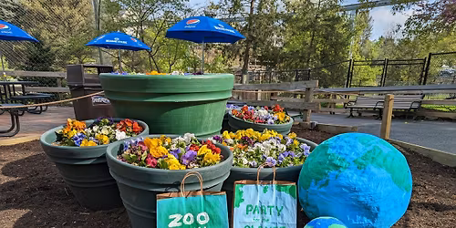 Party for the Planet \ud83c\udf0e