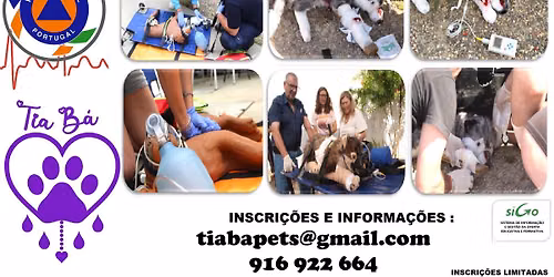 CURSO PRIMEIROS SOCORROS ANIMAIS - NÍVEL 2 - MATOSINHOS