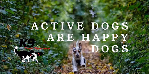 K9 Trail Time Pop up Shop - CaniX Forest of Dean Races