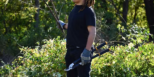 Volunteer Morning: Hickory Creek Preserve \u2014 LaPorte Road Access