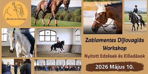 Term\u00e9szetes D\u00edjlovagl\u00e1s - Zablamentes D\u00edjlovagl\u00e1s Workshop 2026