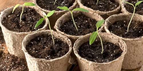 Sow Seeds for Spring at Slades Farm