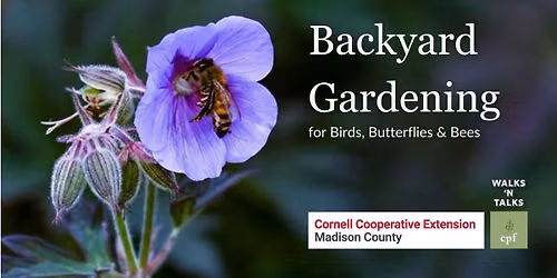 Backyard Gardening for Birds, Butterflies & Bees