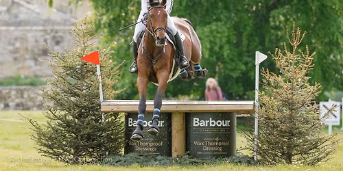 Day Camp at Lindores Equestrian