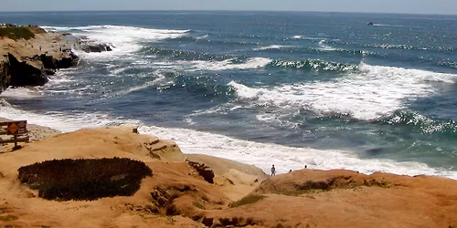 Online OCD Conference, a Global Event!