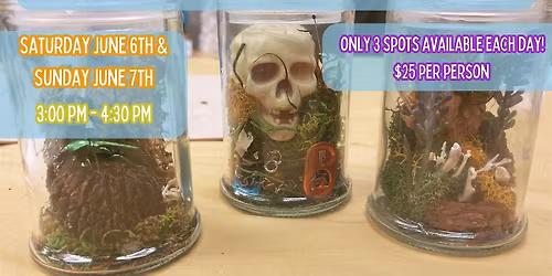 Bug Pinning & Display Class: Beginner - June 2026