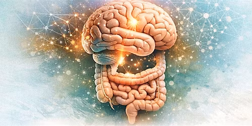 The Gut-Brain Connection