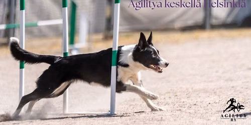 Juulia Savolaisen (Kaiku Training) koulutus