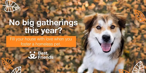 LA - Home for the Holiday: Foster a pet over Thanksgiving!