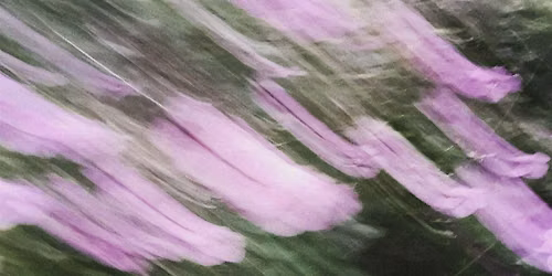 the colour of scent, a perfume workshop