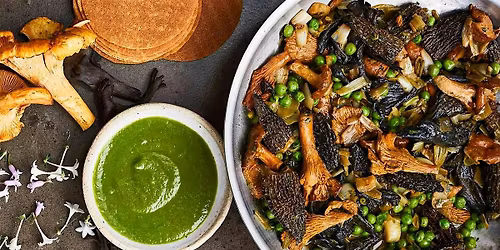 Magic of Mushrooms: An Exotic Tasting Experience