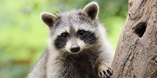 Humane Wildlife Exclusion Workshop