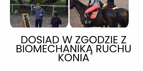 Dosiad w zgodzie z biomechanik\u0105 ruchu konia - szkolenie dosiadowe z Roos Dyson!