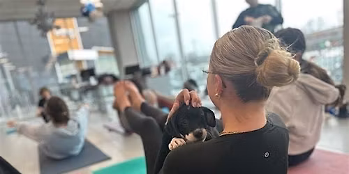 Mother's Day Puppy Yoga at Hexagon Alley with Sarah's Yoga Studio