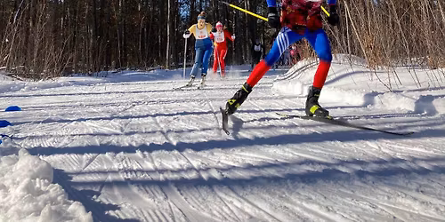 Learn to Skate Ski Clinic
