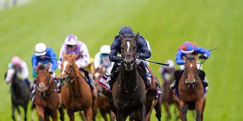 Betfred Derby Festival