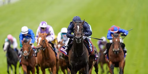 Betfred Derby Festival