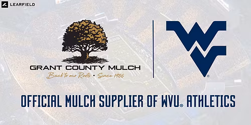 Colorado Buffaloes at West Virginia Mountaineers Womens Volleyball