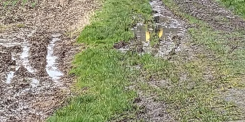 36th Belvoir Challenge