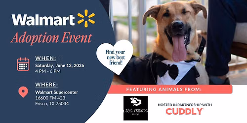 Walmart Adoption Event | Frisco, TX
