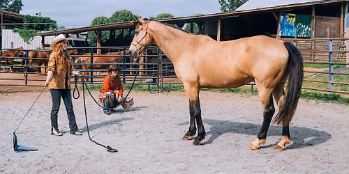 Student of the Horse: A Foundation Course to Natural Horsemanship