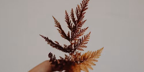 Workshop Ayurveda & the doshas