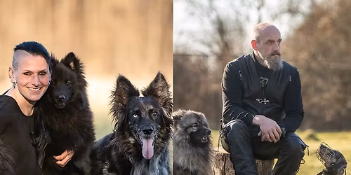 K\u00f6rpersprache Hund\/Hund Hund\/Mensch - K\u00fcstenk\u00f6ter 