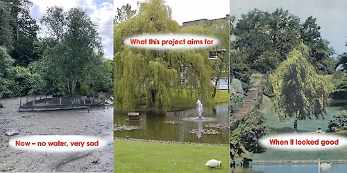 \u201cHerons Lake (re)new Project\u201d Volunteer session