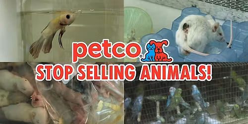 Petco - Stop Selling Animals!!