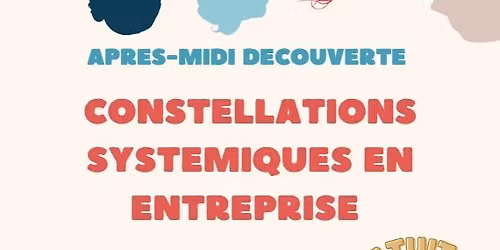 Apr\u00e8s-midi DECOUVERTE des constellations syst\u00e9miques en entreprise !!!