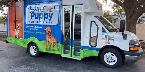 Canine Nail Shortening Service