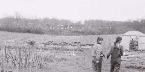 Markvandring - H\u00f8steriet 