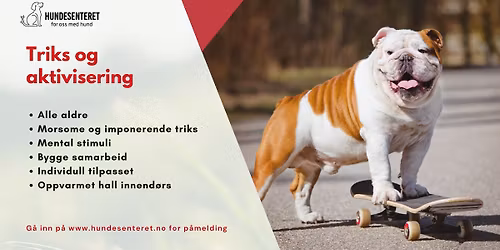 Triks og aktivisering (ledige plasser)