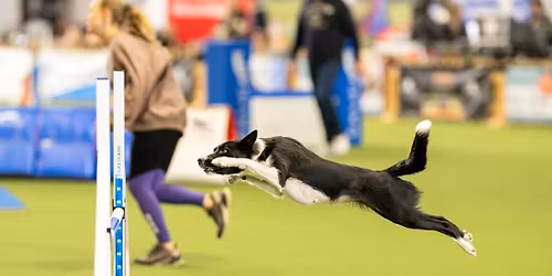 Intensivtraining Thalfang 