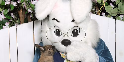 Bunny Pet Photo Night