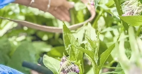 Living with Intention & Magic